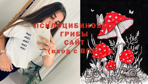 героин Алексин