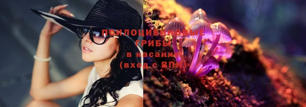 первитин Алексеевка