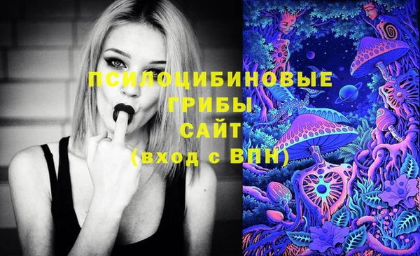 стафф Алзамай