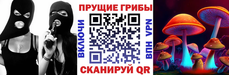 Галлюциногенные грибы мицелий  Димитровград 