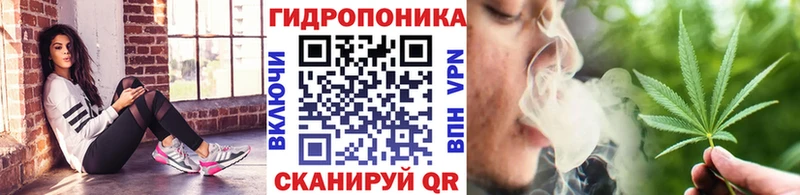 сколько стоит  Димитровград  Конопля гибрид 