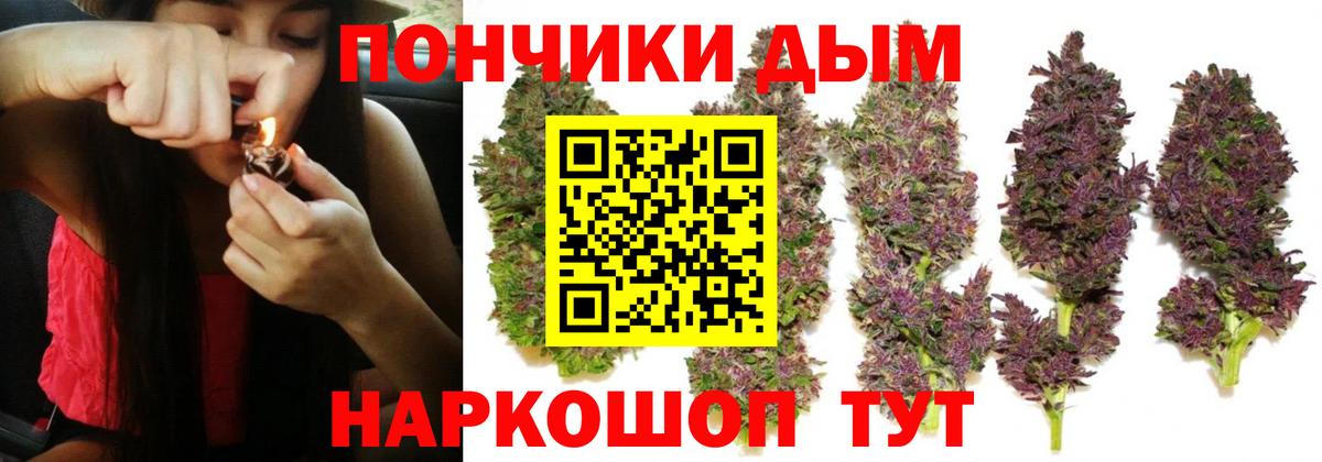 Канабис White Widow Димитровград